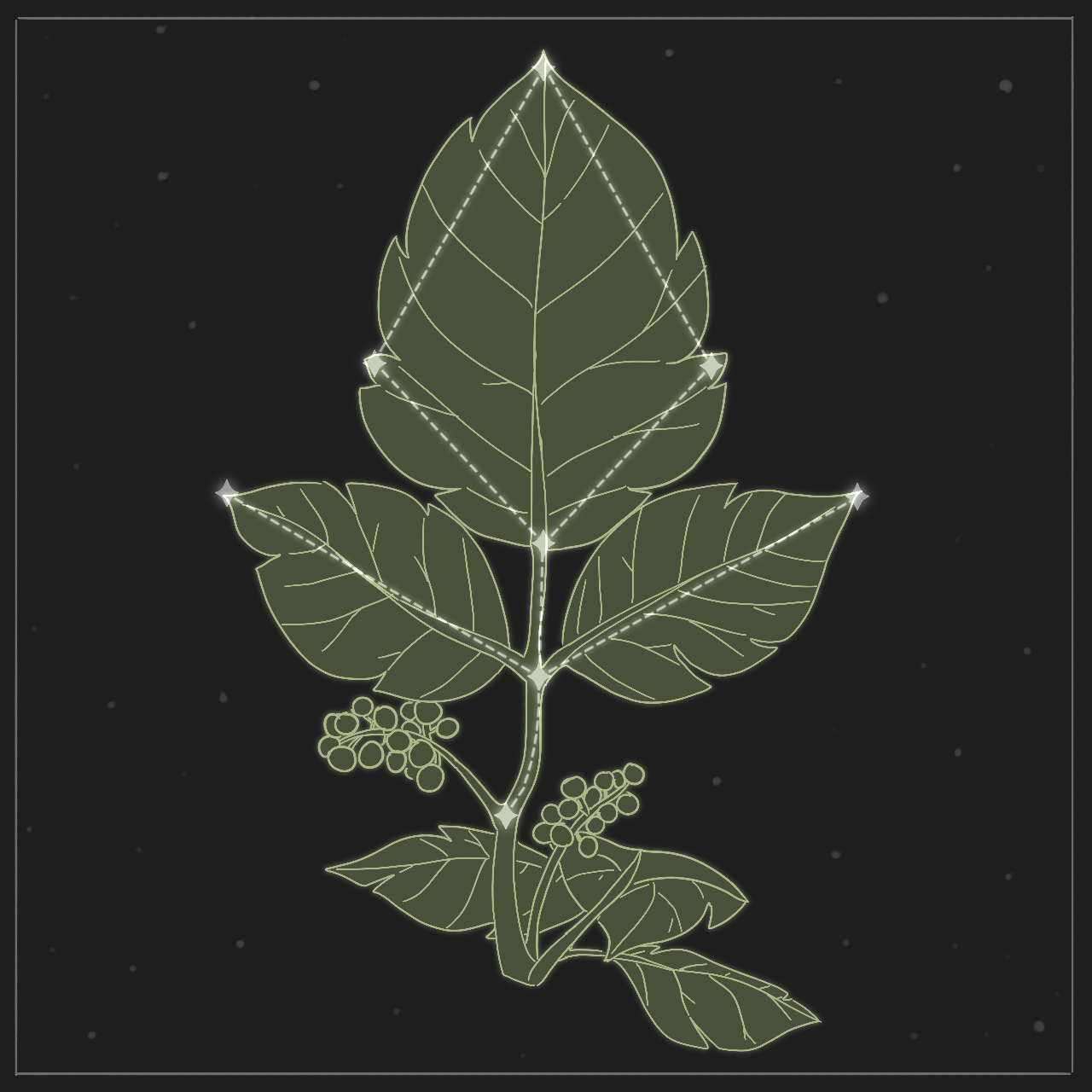 ivy zodiac. art by space